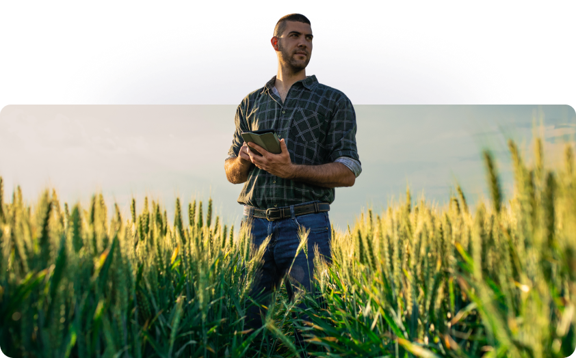Un agriculteur dans un champ avec une tablette