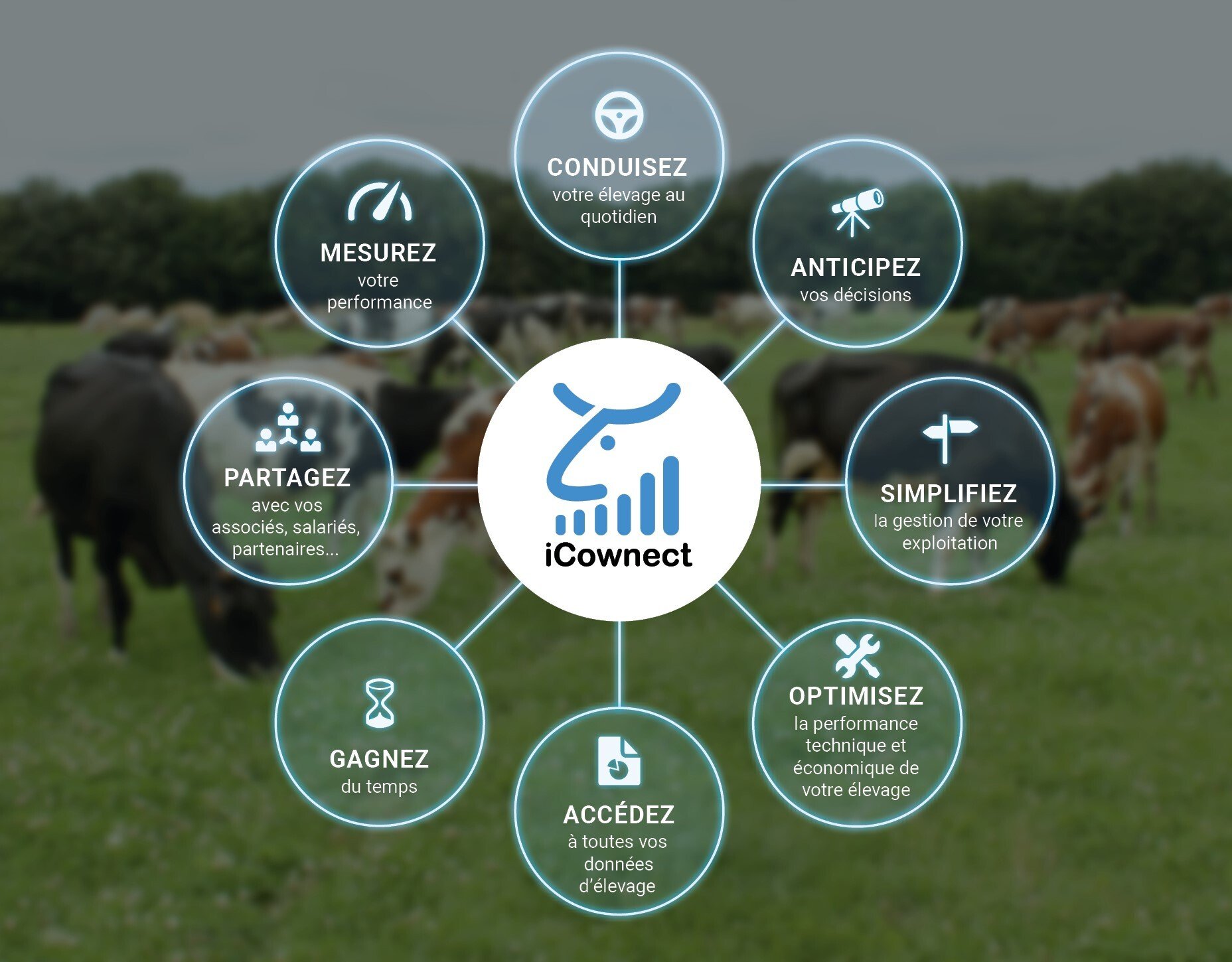 flyer_icownect_20251