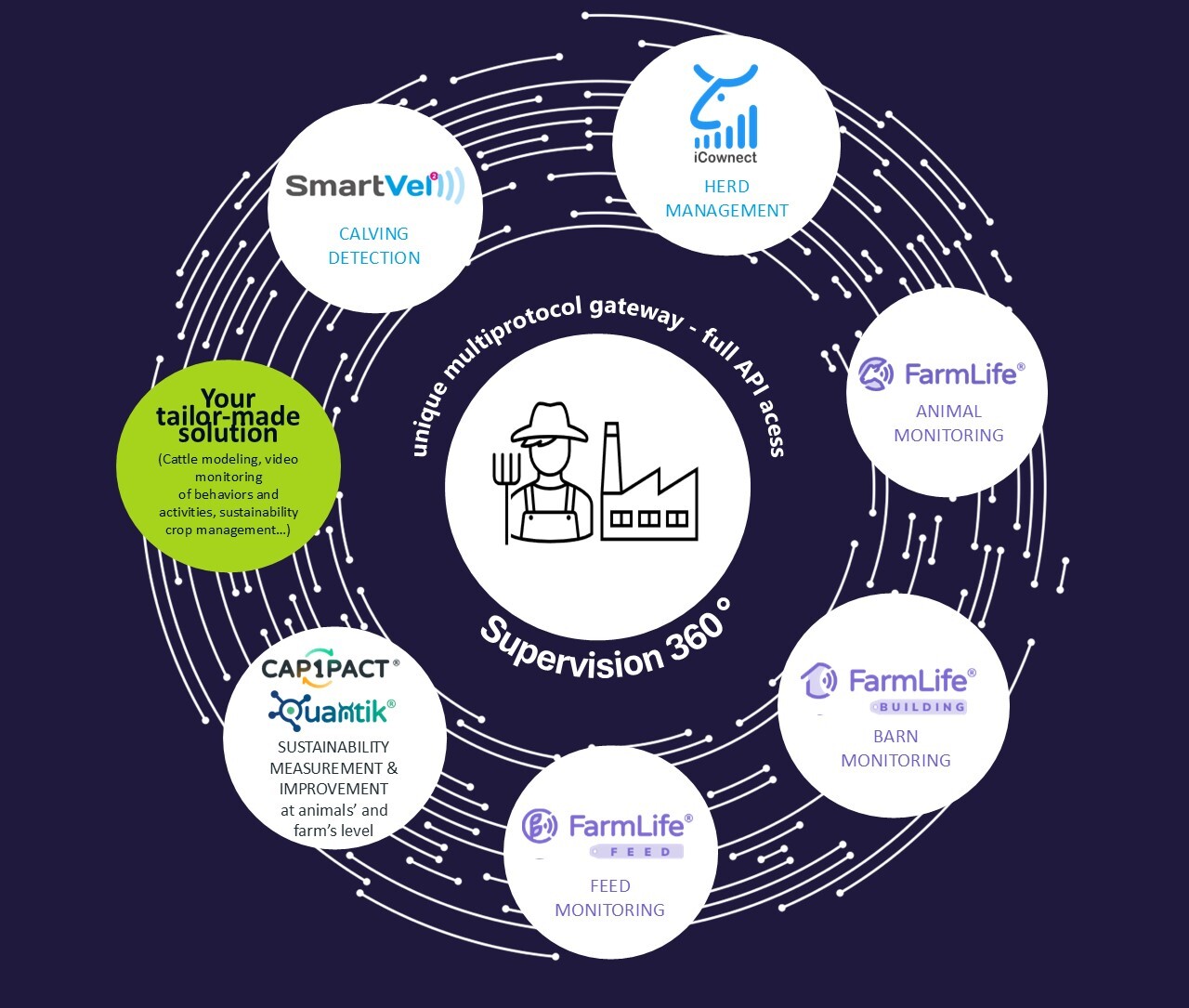 La roue des services