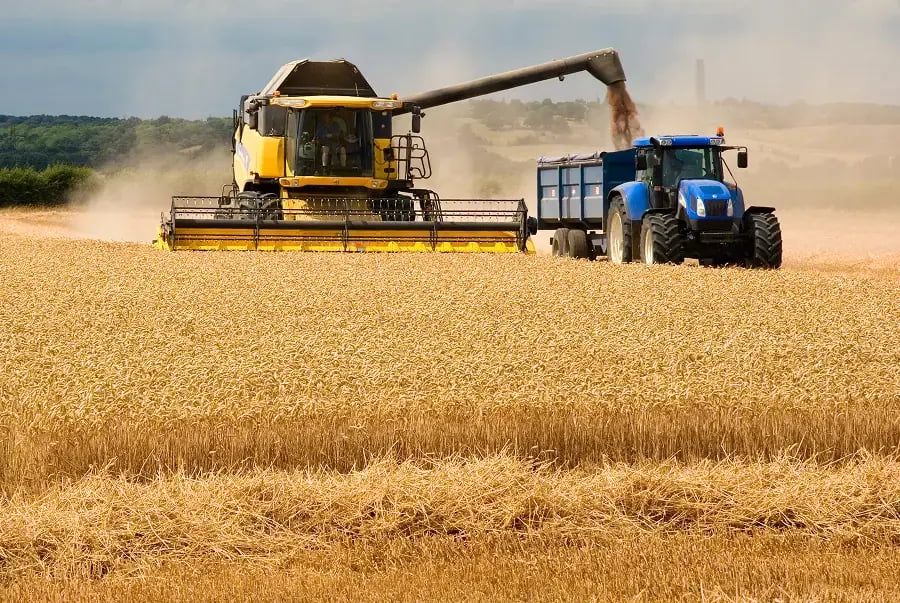 Photo de la moisson des blés dans un champ