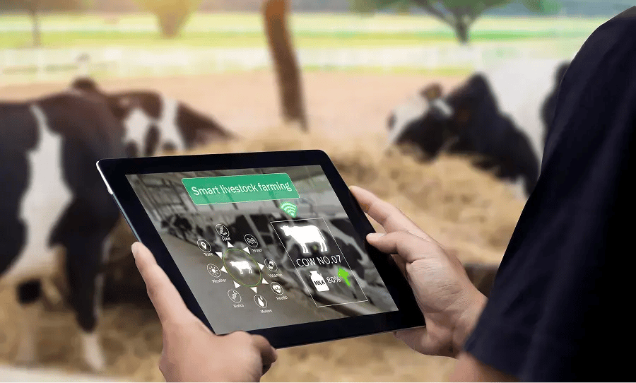 Photo d'une personne qui est sur sa tablette avec une solution technologique pour l'agriculture