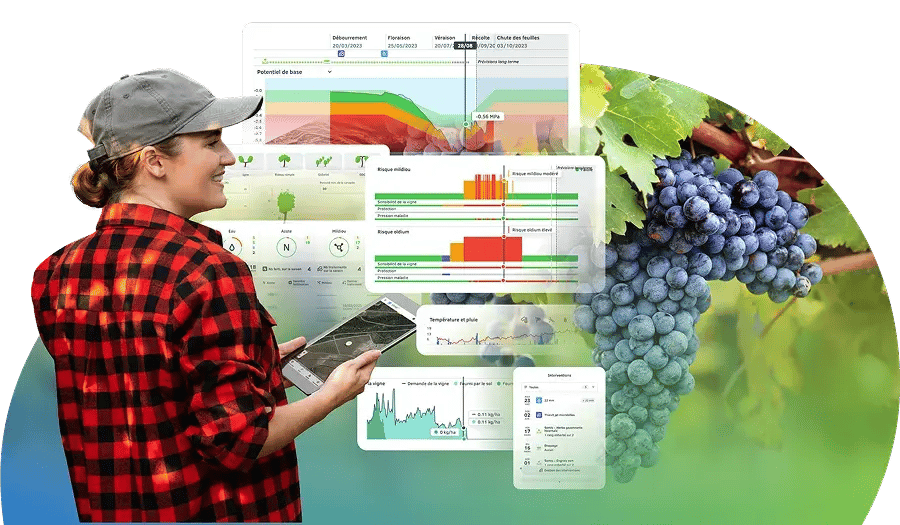 Illustration de l'interface Vintel pour les agriculteurs