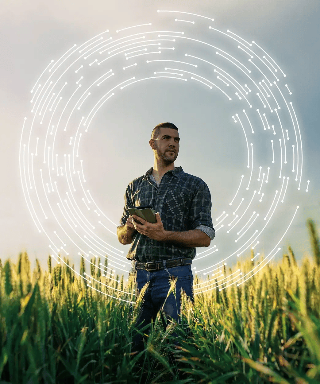 Image d'un homme dans un champ