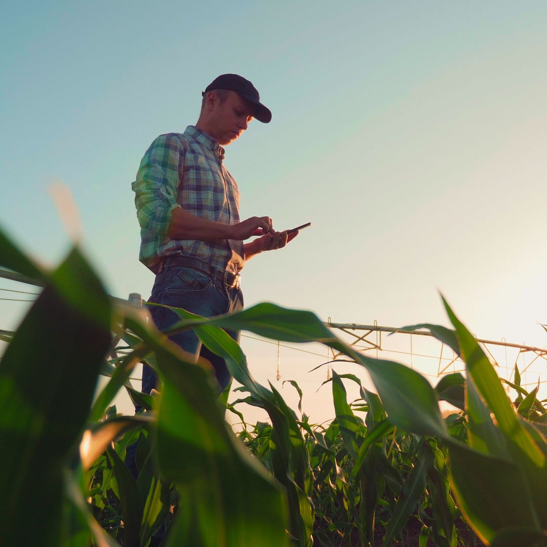farmlife_feed_management_farmer