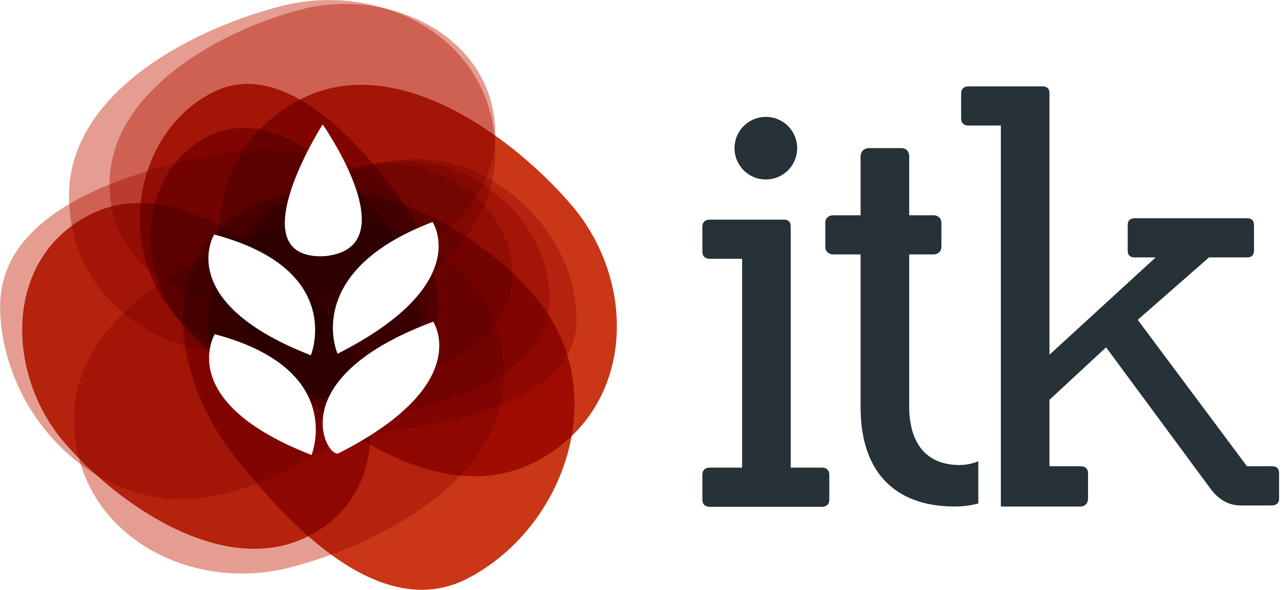 itk_no-baseline_web