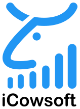 logo_icowsoft