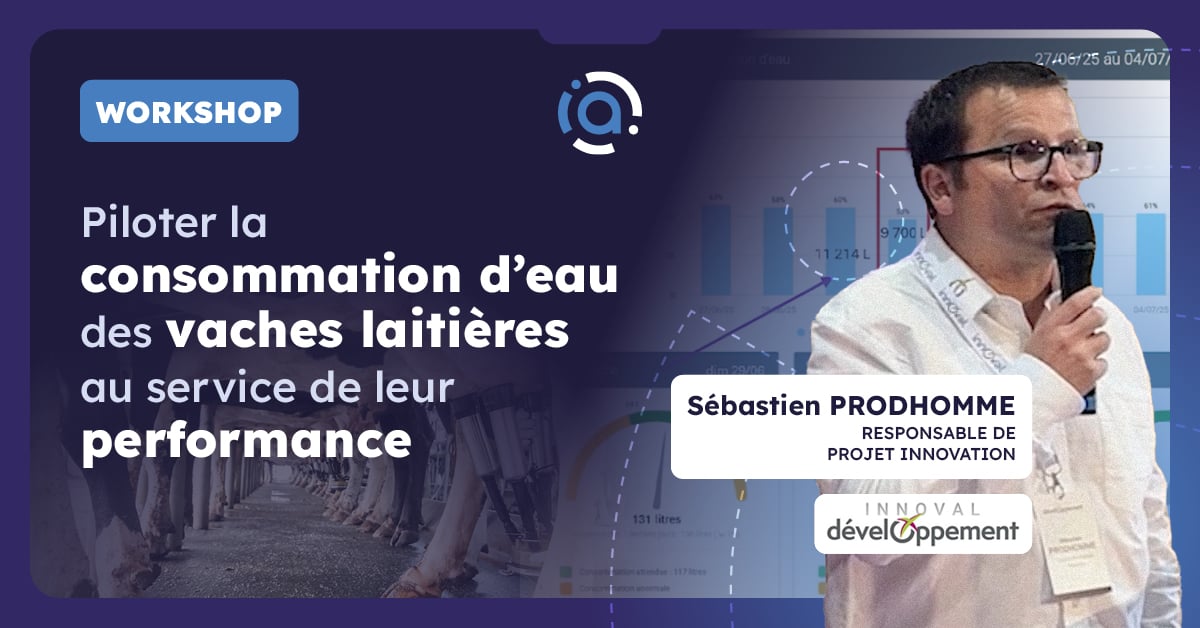 Workshop Sébastien Prodhomme